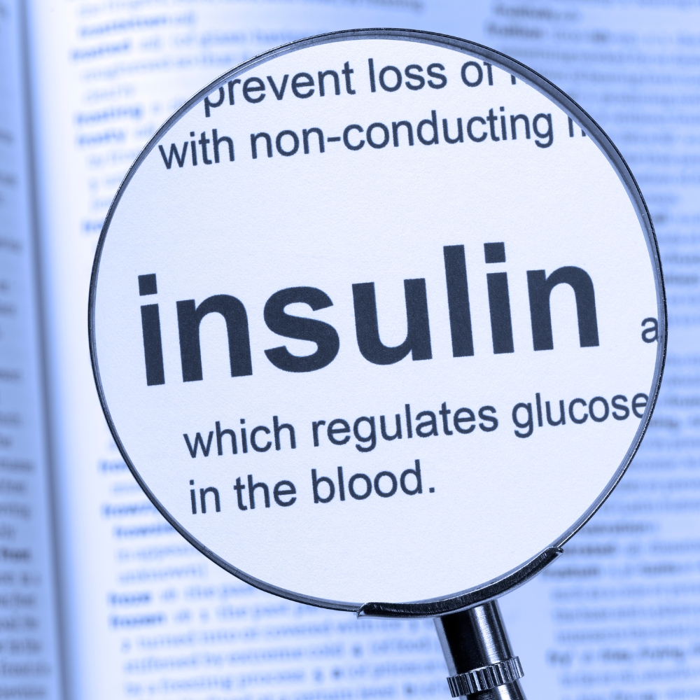 insulin resistance 